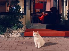 -江湖边·小生活