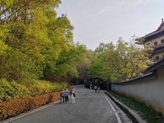 -南京市江宁方山