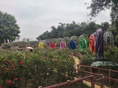 -百万葵园