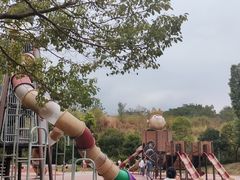 -枫香湖儿童公园