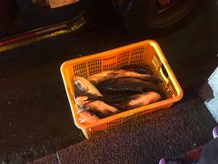 -渔掌门(铁东店)