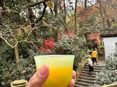-宋宴(虎跑店)