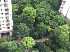-新湖明珠城