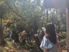 -Chom Cafe and Restaurant