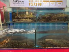 -江南鱼捞(北仑银泰城店)