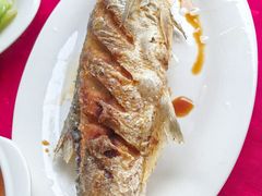 -蛇口康乐快餐鱼仔档(翠苑小区店)