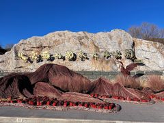 -北京西山国家森林公园