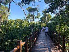 -东寨港红树林旅游区