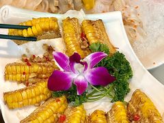 -喜聚薈·花膠雞海鮮火鍋(越秀店)