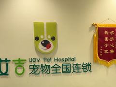 -艾吉宠物医院·疑难杂症转诊中心·猫友好(碧江路院)