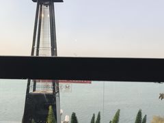 -野菌皇海景野生菌火锅(滨海大道店)
