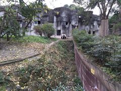 -成都大熊猫繁育研究基地