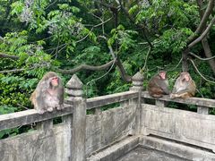 -苏州上方山国家森林公园