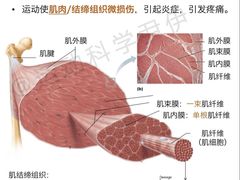 -UP健身私教馆(南山书城店)