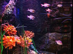 -沈阳海洋探索中心