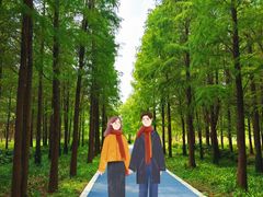 -昆山城市生态森林公园