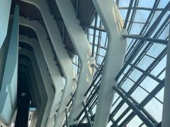 -贝林大翅鲸简餐厅(国家海洋博物馆店)