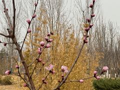 -中关村生命科学园