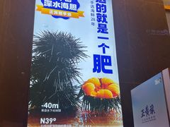 -正黄旗海鲜烧烤大排档(延安路总店)