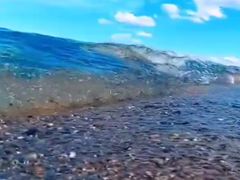 -黄金海岸