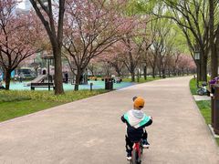 -唐城墙遗址公园