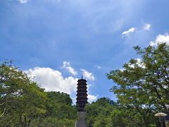 -红花山公园