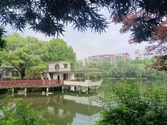 -雨湖公园