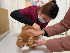 -美联众合动物医院·24h京西诊疗中心
