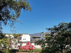 -塔川景区