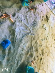 -恐龙探索乐园(磁器口店)