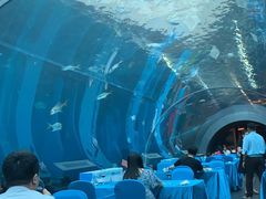 -海棠湾洲际-涛·海底餐厅·美人鱼·自助餐·海底隧道