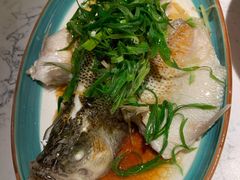 -大榕树下顺德菜(融创茂店)