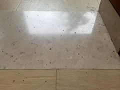 -西双版纳融创皇冠假日度假酒店