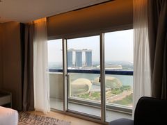 -新加坡瑞士史丹福酒店