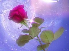 -川竹火锅(龙凤店)