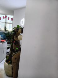 点击看大图 -瓷肌博士·祛痘科技美肤
