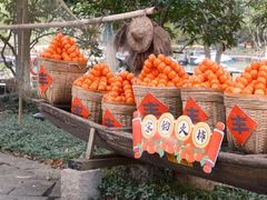 -西溪国家湿地公园