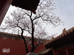 -故宫博物院(故宫)