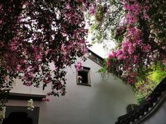 -深圳国际园林花卉博览园