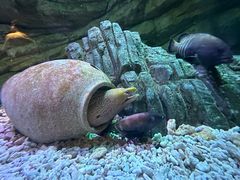 -欢乐海岸海洋奇梦馆