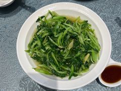 -大队长大灶鹅