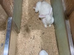 -上海大自然野生昆虫馆