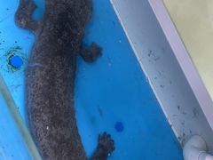 -潮信鱼头王(西环店)