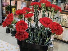 -花匠花艺鲜花店(尹山湖店)