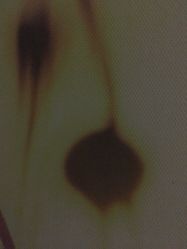 -时尚殿堂·颜SPA