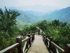 -大岭沟猕猴桃谷风景区