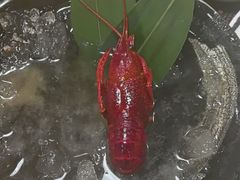 -菊上日式料理(蚌埠银泰店)