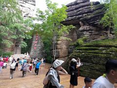 -汤旺河林海奇石景区