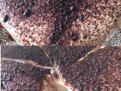 提拉米苏爆浆蛋糕-长乐饼屋(文德店)