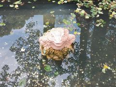 -青岛崂山太清宫